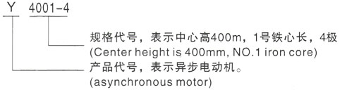 西安泰富西玛Y系列(H355-1000)高压YE2-315L1-8三相异步电机型号说明