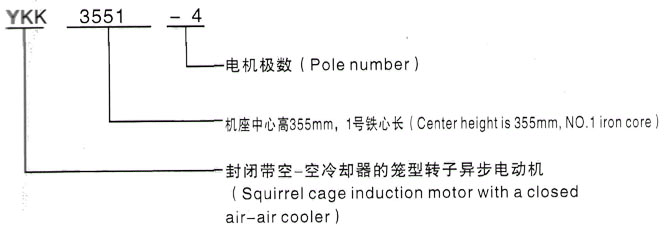 YKK系列(H355-1000)高压YE2-315L1-8三相异步电机西安泰富西玛电机型号说明