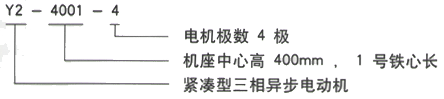 YR系列(H355-1000)高压YE2-315L1-8三相异步电机西安西玛电机型号说明